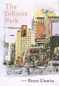 Cover image for The Infinite Park