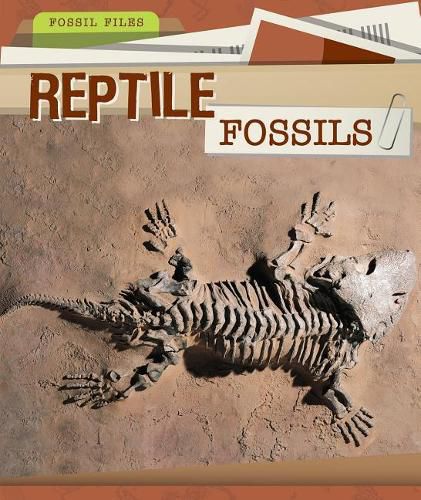 Reptile Fossils