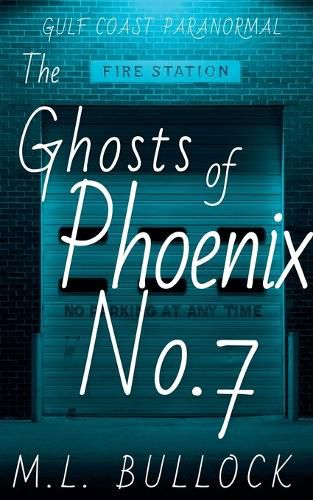 Cover image for The Ghosts of Phoenix No.7