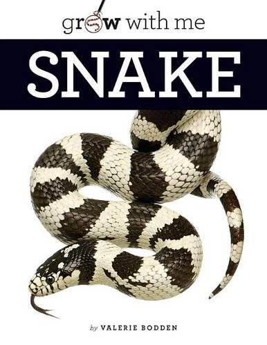 Cover image for Grow with Me: Snake