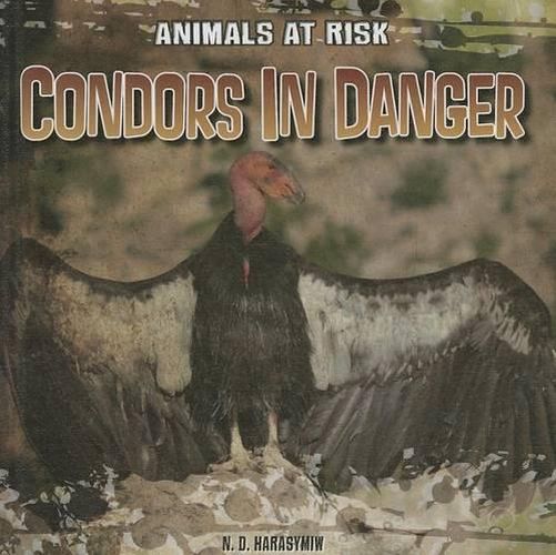 Cover image for Condors in Danger