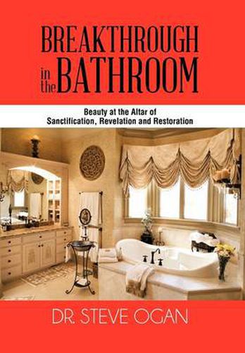 Cover image for Breakthrough in the Bathroom