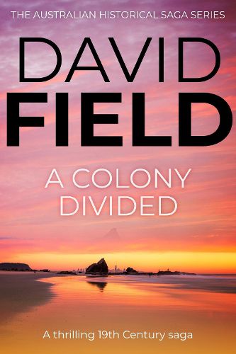 Cover image for A Colony Divided