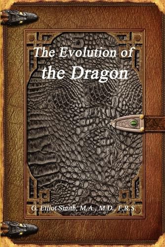 The Evolution of the Dragon