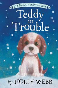 Cover image for Teddy in Trouble