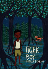 Cover image for Tiger Boy