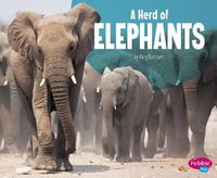 Cover image for A Herd of Elephants (Animal Groups)