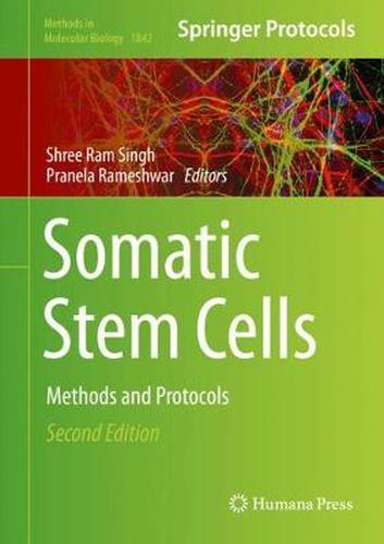 Cover image for Somatic Stem Cells: Methods and Protocols