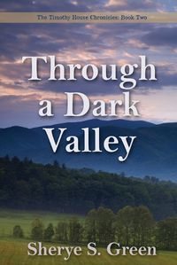 Cover image for Through a Dark Valley