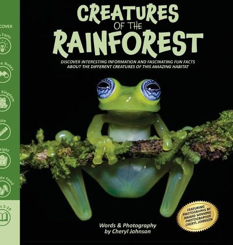 Cover image for Amazing Creatures of the Rainforest