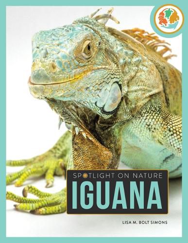 Cover image for Iguana