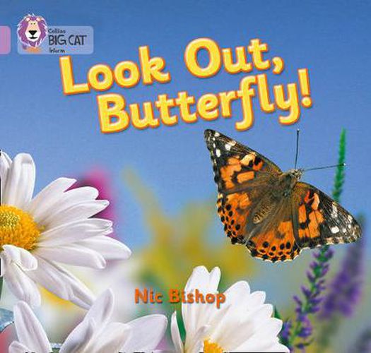 Cover image for Look Out Butterfly!: Band 00/Lilac