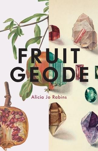 Cover image for Fruit Geode