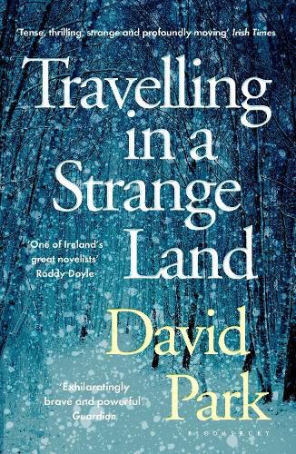 Cover image for Travelling in a Strange Land: Winner of the Kerry Group Irish Novel of the Year