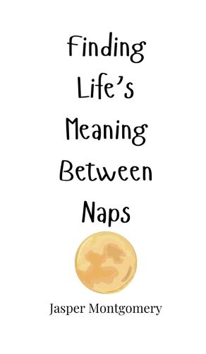 Cover image for Finding Life's Meaning Between Naps