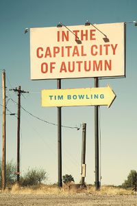 Cover image for In the Capital City of Autumn