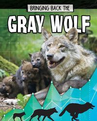 Cover image for Gray Wolf: Bringing Back The