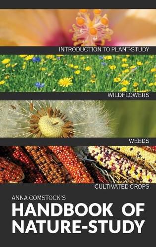 Cover image for The Handbook Of Nature Study in Color - Wildflowers, Weeds & Cultivated Crops