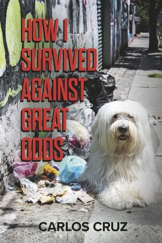 Cover image for How I Survived Against Great Odds