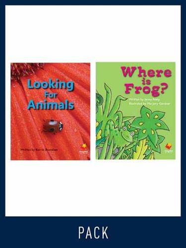 Cover image for Flying Start Guided Reading Pack Level 4, Pack 1: Paired student books (6x6) and lesson plan (1)