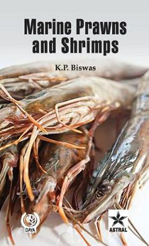 Cover image for Marine Prawns and Shrimps