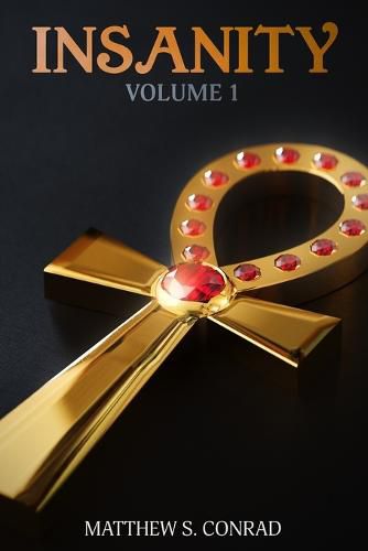 Cover image for Insanity