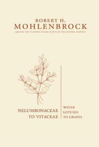 Nelumbonaceae to Vitaceae: Water Lotuses to Grapes