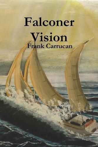 Cover image for Falconer Vision