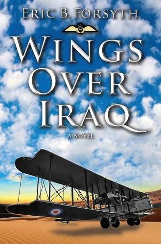 Cover image for Wings Over Iraq