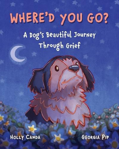 Cover image for Where'd You Go?