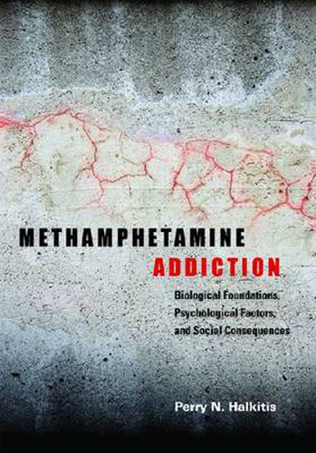 Cover image for Methamphetamine Addiction: Biological Foundations, Psychological Factors, and Social Consequences