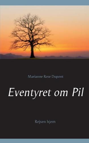 Cover image for Eventyret om Pil