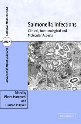 Cover image for Salmonella Infections: Clinical, Immunological and Molecular Aspects