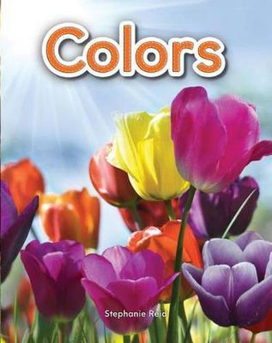 Cover image for Colors Lap Book