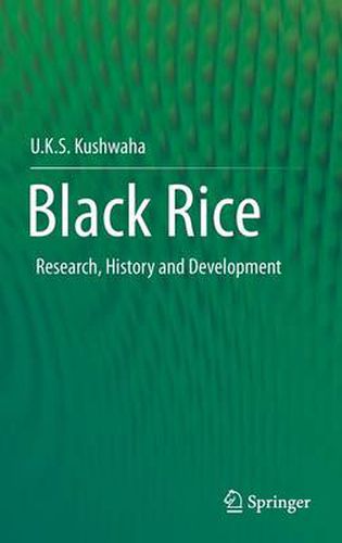 Cover image for Black Rice: Research, History and Development