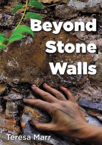 Cover image for Beyond Stone Walls