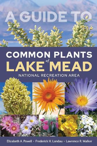 Cover image for A Guide to Common Plants of Lake Mead National Recreation Area