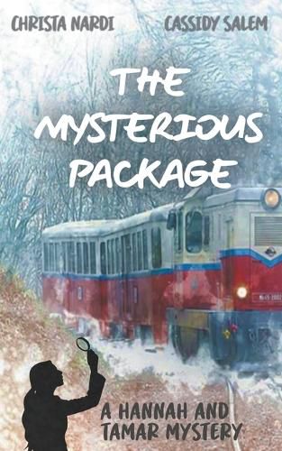 Cover image for The Mysterious Package