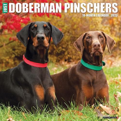 Cover image for Just Dobermans 2023 Wall Calendar