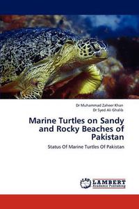 Cover image for Marine Turtles on Sandy and Rocky Beaches of Pakistan