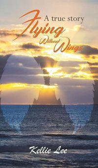 Cover image for Flying Without Wings