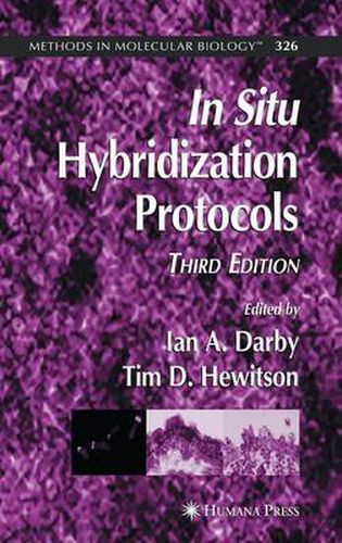 Cover image for In Situ Hybridization Protocols