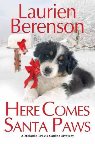 Cover image for Here Comes Santa Paws