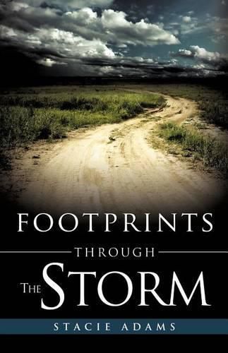 Cover image for Footprints Through the Storm