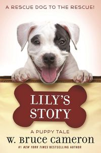 Cover image for Lily's Story