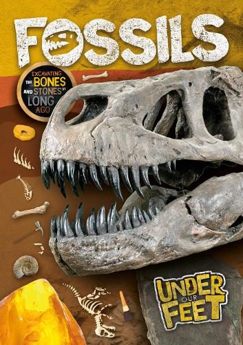 Cover image for Fossils