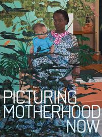 Cover image for Picturing Motherhood Now