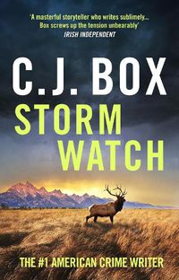 Cover image for Storm Watch