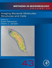 Cover image for Imaging Bacterial Molecules, Structures and Cells