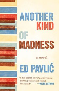 Cover image for Another Kind of Madness: A Novel